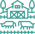 ganado